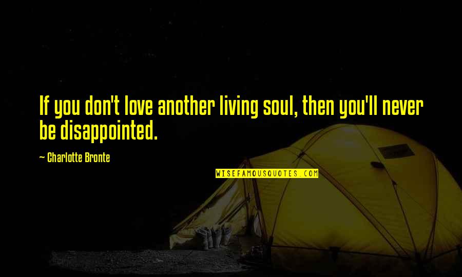 Bonnie L Mohr Quotes By Charlotte Bronte: If you don't love another living soul, then