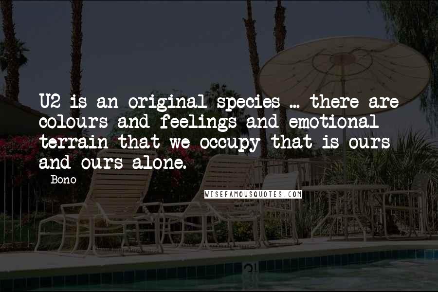 Bono quotes: U2 is an original species ... there are colours and feelings and emotional terrain that we occupy that is ours and ours alone.