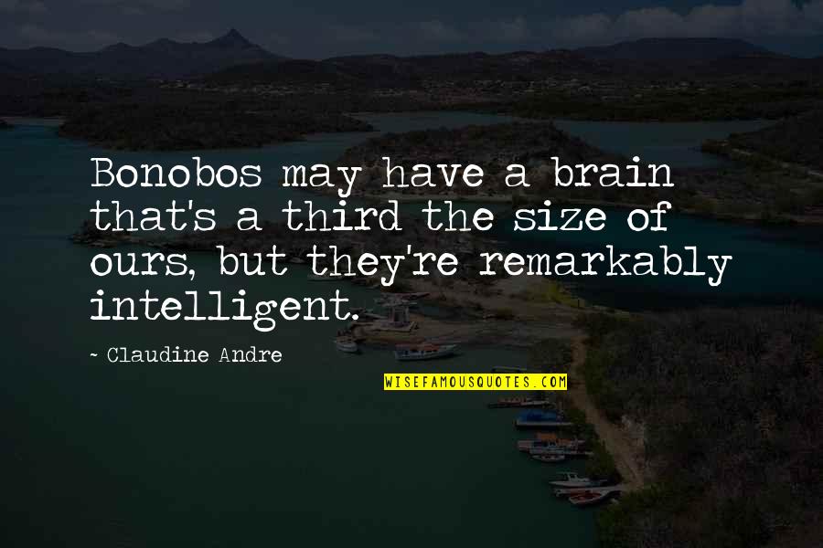Bonobos Quotes By Claudine Andre: Bonobos may have a brain that's a third
