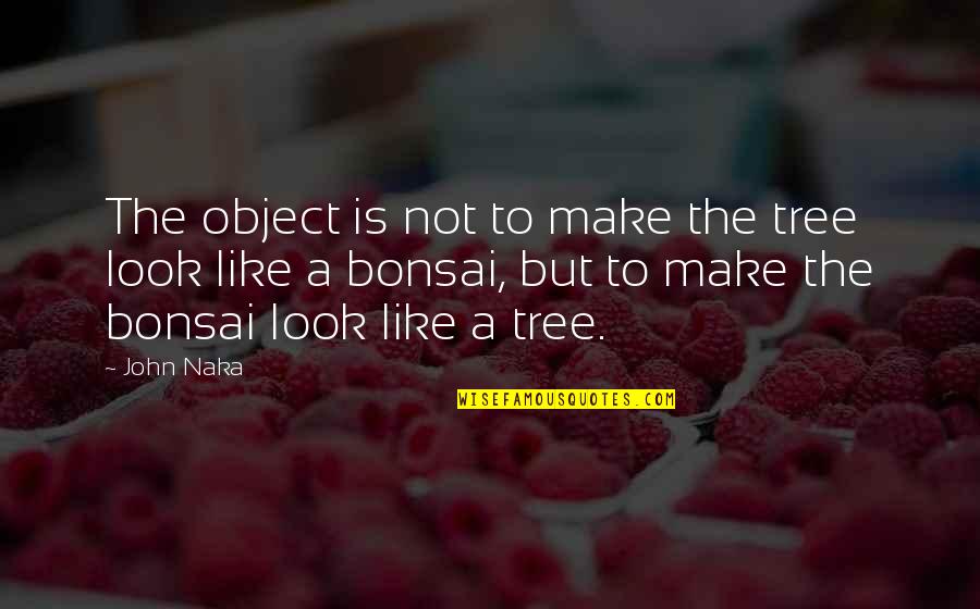 Bonsai Quotes By John Naka: The object is not to make the tree