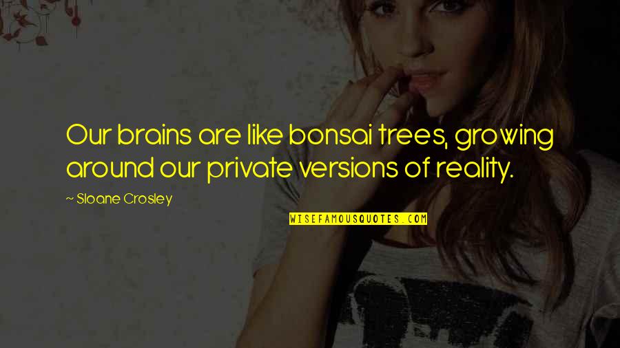 Bonsai Quotes By Sloane Crosley: Our brains are like bonsai trees, growing around