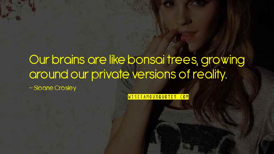 Bonsai Trees Quotes By Sloane Crosley: Our brains are like bonsai trees, growing around
