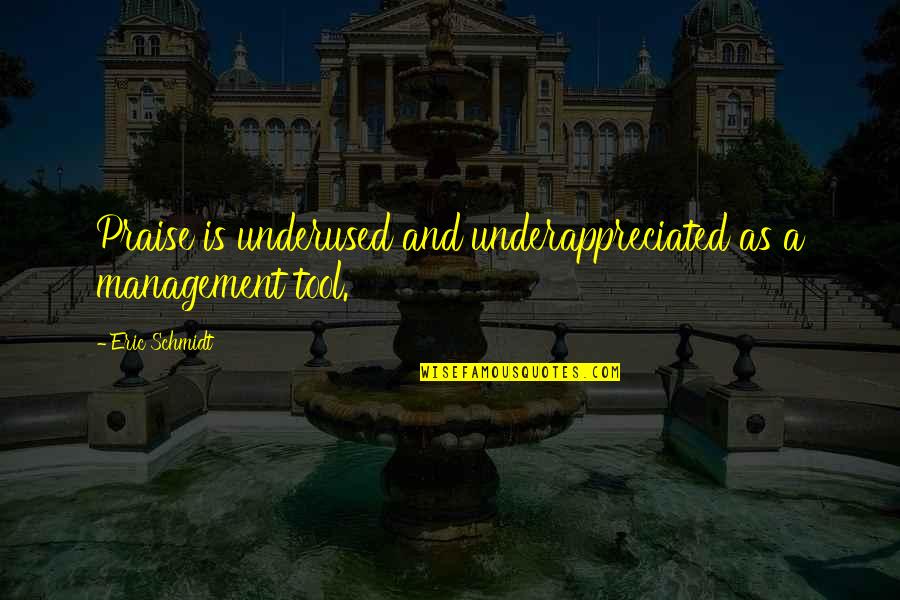 Bontecou Quotes By Eric Schmidt: Praise is underused and underappreciated as a management