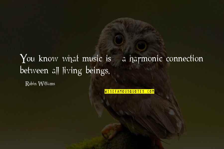 Bonuccelli And Associates Quotes By Robin Williams: You know what music is - a harmonic