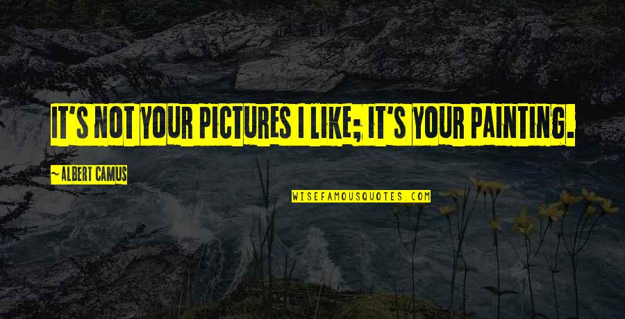Bonum Hospice Quotes By Albert Camus: It's not your pictures I like; it's your