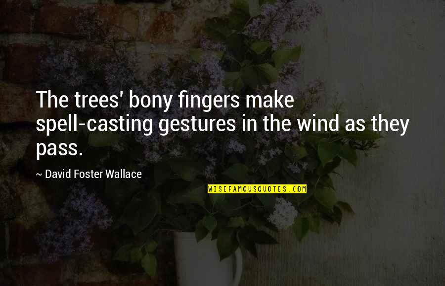 Bony T Quotes By David Foster Wallace: The trees' bony fingers make spell-casting gestures in Bony T Quotes By David Foster Wallace: The trees' bony fingers make spell-casting gestures in