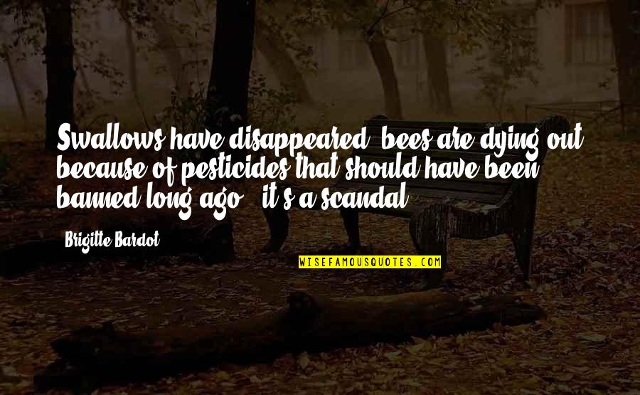 Boo Radley Loss Of Innocence Quotes By Brigitte Bardot: Swallows have disappeared, bees are dying out because