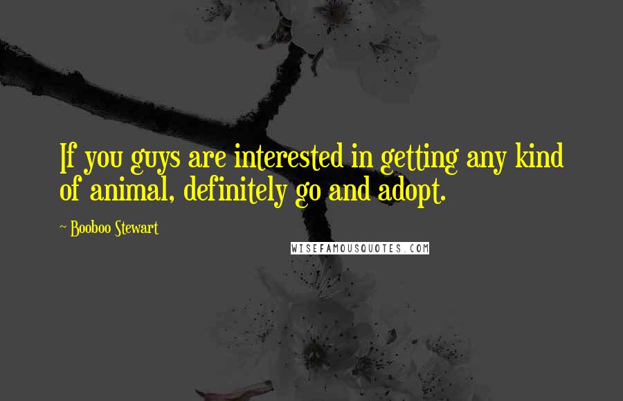 Booboo Stewart quotes: If you guys are interested in getting any kind of animal, definitely go and adopt.