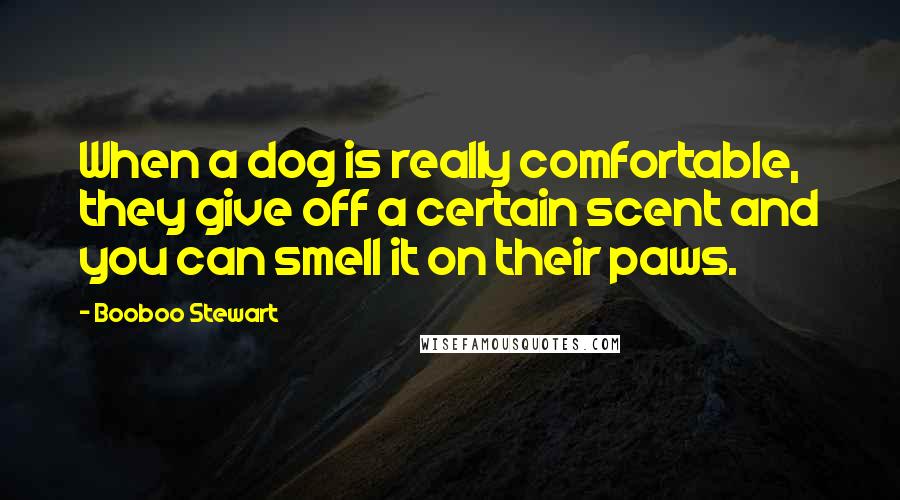 Booboo Stewart quotes: When a dog is really comfortable, they give off a certain scent and you can smell it on their paws.