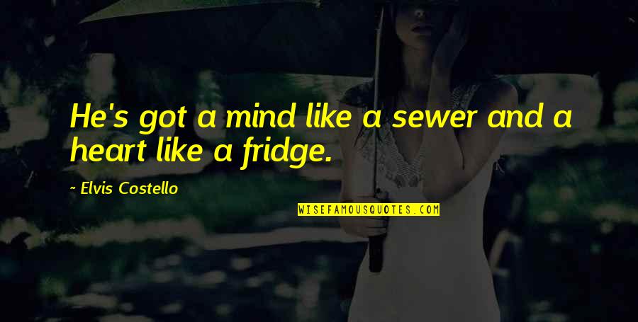 Boockvar Md Quotes By Elvis Costello: He's got a mind like a sewer and Boockvar Md Quotes By Elvis Costello: He's got a mind like a sewer and