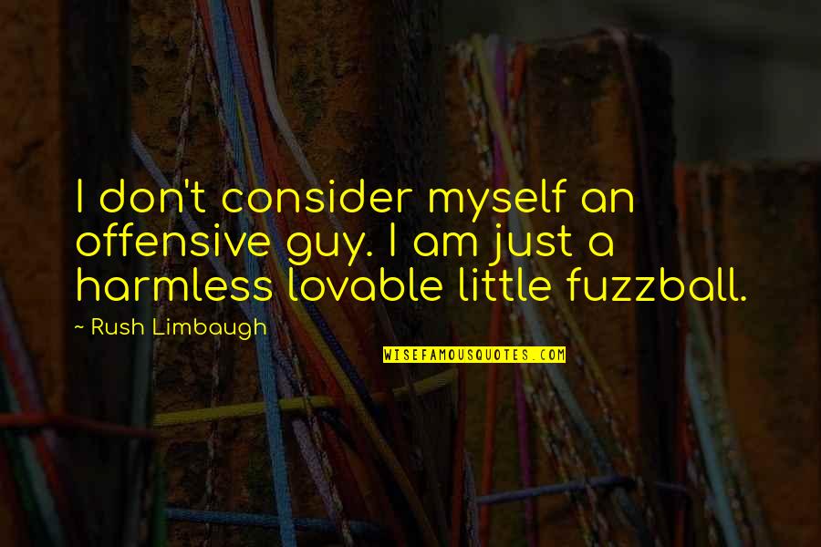 Boof Quotes By Rush Limbaugh: I don't consider myself an offensive guy. I