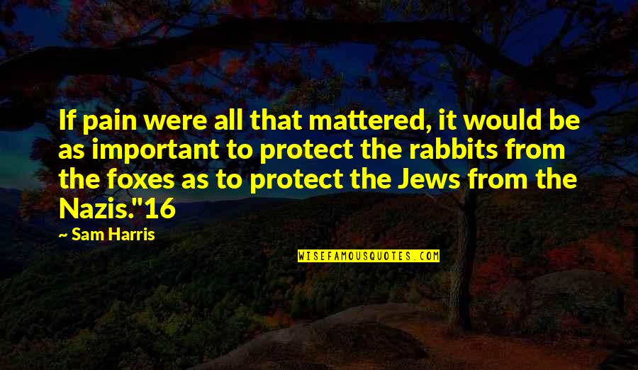 Boogeyman Quotes By Sam Harris: If pain were all that mattered, it would Boogeyman Quotes By Sam Harris: If pain were all that mattered, it would
