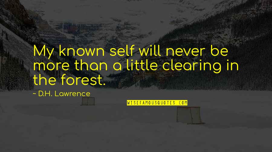 Boogie Men Quotes By D.H. Lawrence: My known self will never be more than