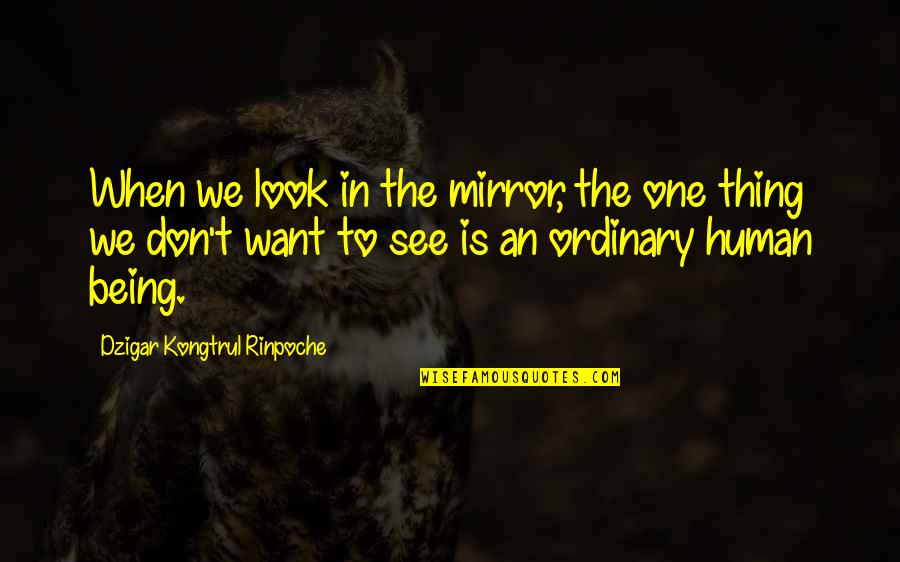 Book Dedication Quotes By Dzigar Kongtrul Rinpoche: When we look in the mirror, the one Book Dedication Quotes By Dzigar Kongtrul Rinpoche: When we look in the mirror, the one