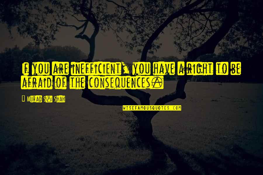 Book Endorsement Quotes By Murad S. Shah: If you are inefficient, you have a right