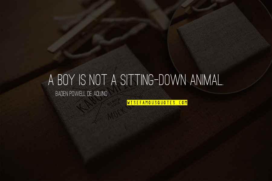 Book Inspired Quotes By Baden Powell De Aquino: A boy is not a sitting-down animal.