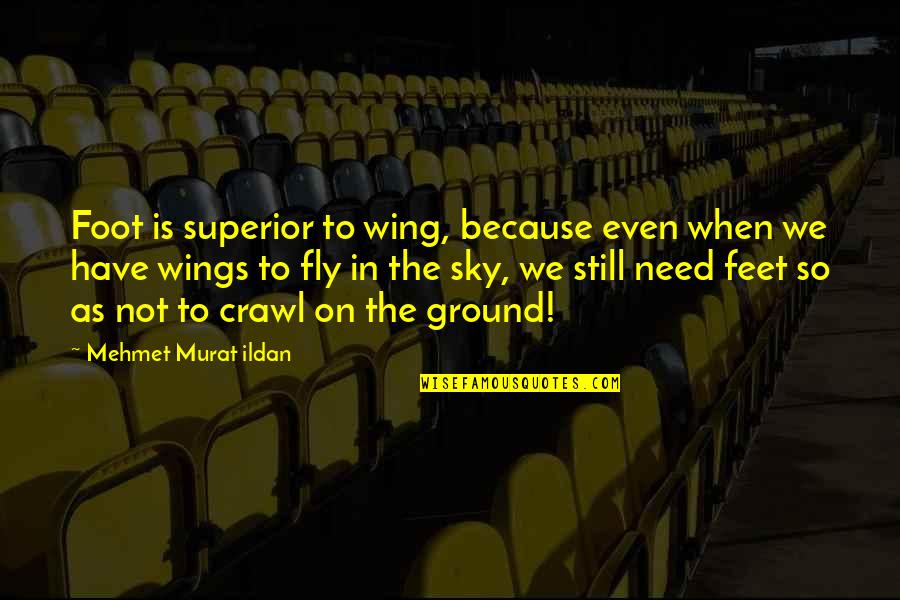 Book Junkie Quotes By Mehmet Murat Ildan: Foot is superior to wing, because even when Book Junkie Quotes By Mehmet Murat Ildan: Foot is superior to wing, because even when