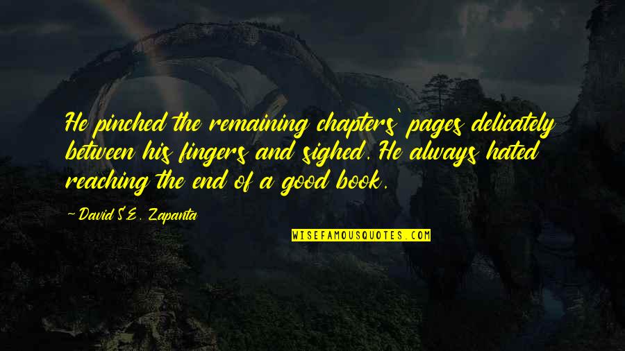 Book Lover Quotes By David S.E. Zapanta: He pinched the remaining chapters' pages delicately between