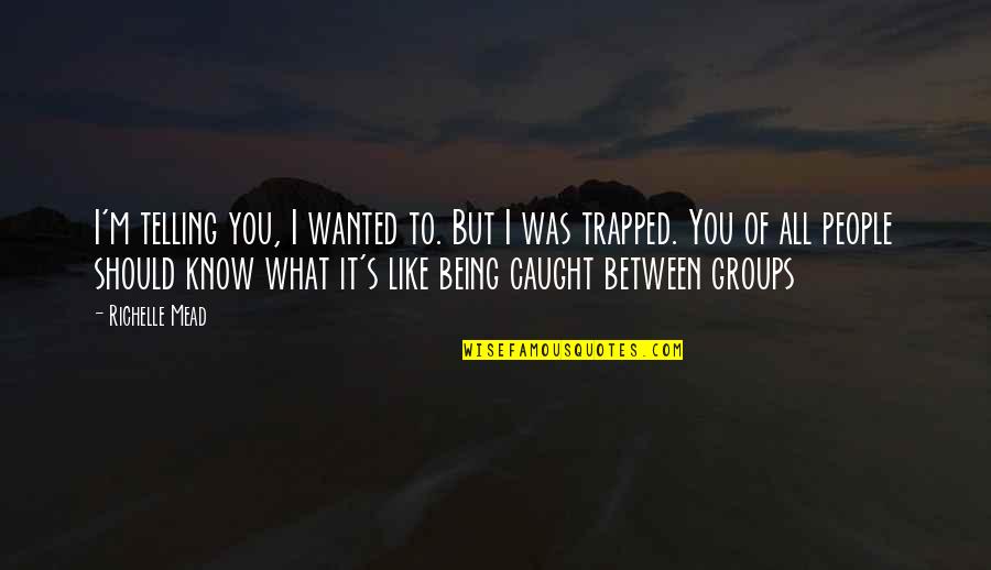Book Oscar Wilde Quotes By Richelle Mead: I'm telling you, I wanted to. But I