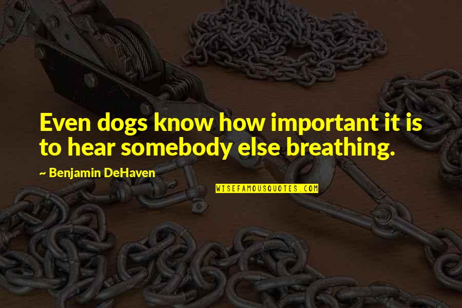 Book Reports Quotes By Benjamin DeHaven: Even dogs know how important it is to Book Reports Quotes By Benjamin DeHaven: Even dogs know how important it is to