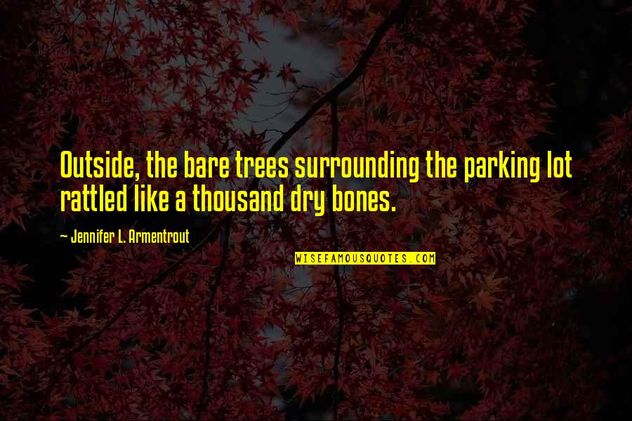 Book Riot All The Books Quotes By Jennifer L. Armentrout: Outside, the bare trees surrounding the parking lot