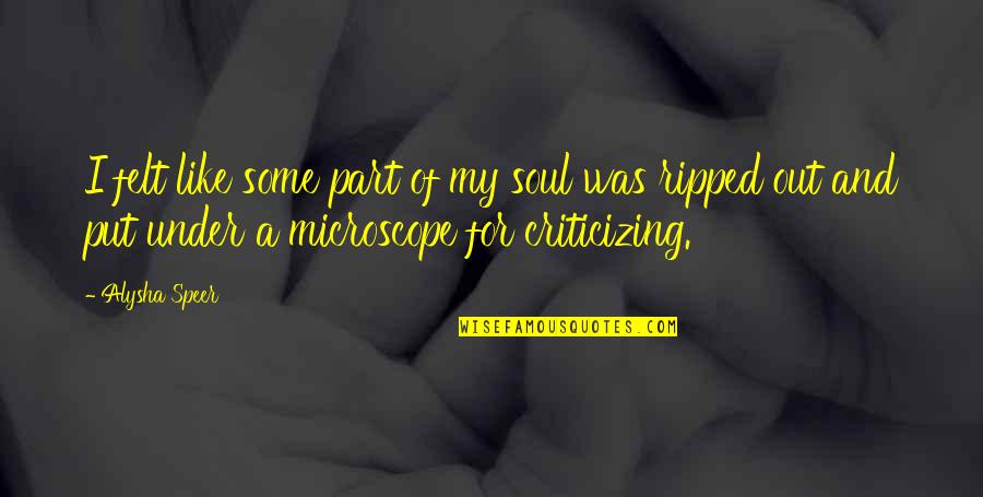 Book Title Goes In Quotes By Alysha Speer: I felt like some part of my soul