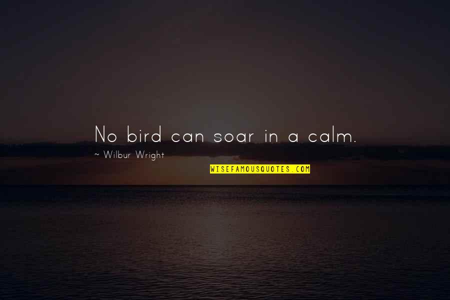 Bookbinder Quotes By Wilbur Wright: No bird can soar in a calm.