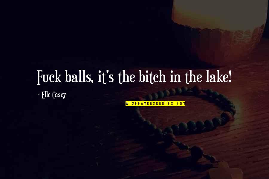 Booked On Phonics Quotes By Elle Casey: Fuck balls, it's the bitch in the lake!