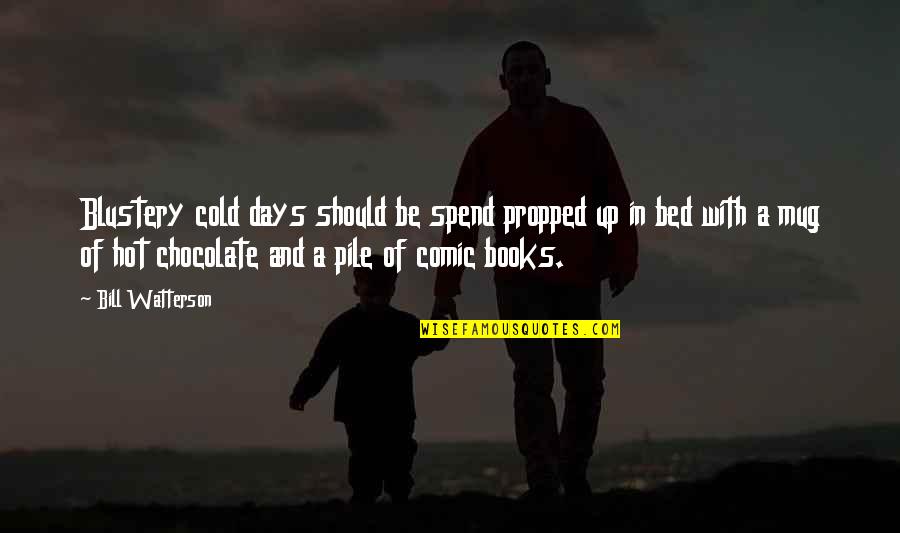 Books And Chocolate Quotes By Bill Watterson: Blustery cold days should be spend propped up