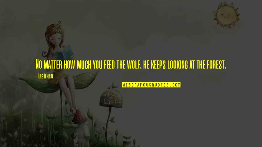 Books Give You Wings Quotes By Ilse Lehiste: No matter how much you feed the wolf,