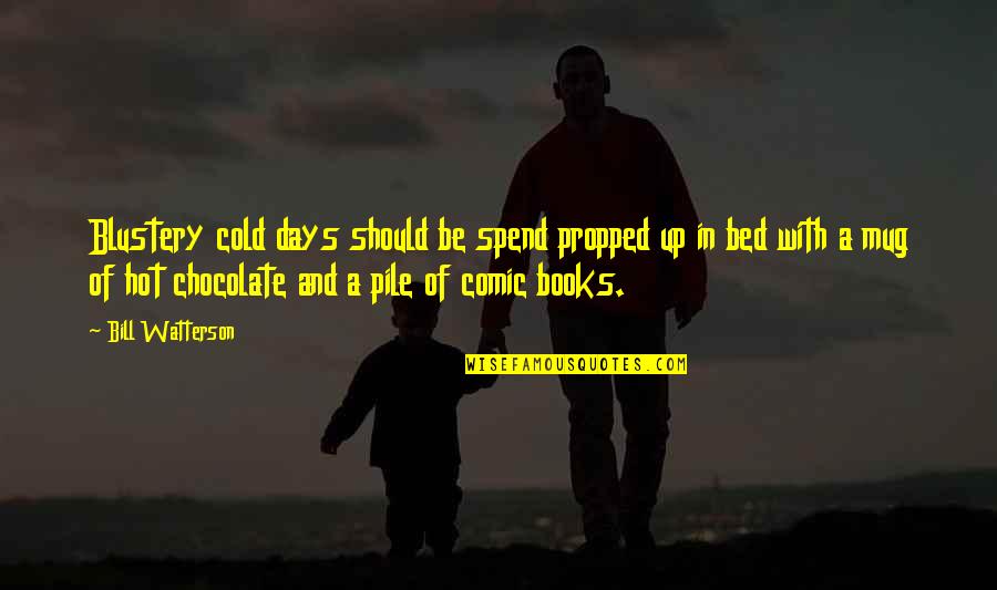 Books In Books Quotes By Bill Watterson: Blustery cold days should be spend propped up