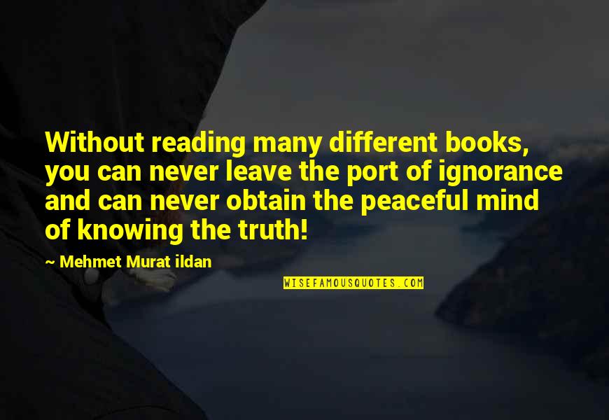Books Of Wise Quotes By Mehmet Murat Ildan: Without reading many different books, you can never