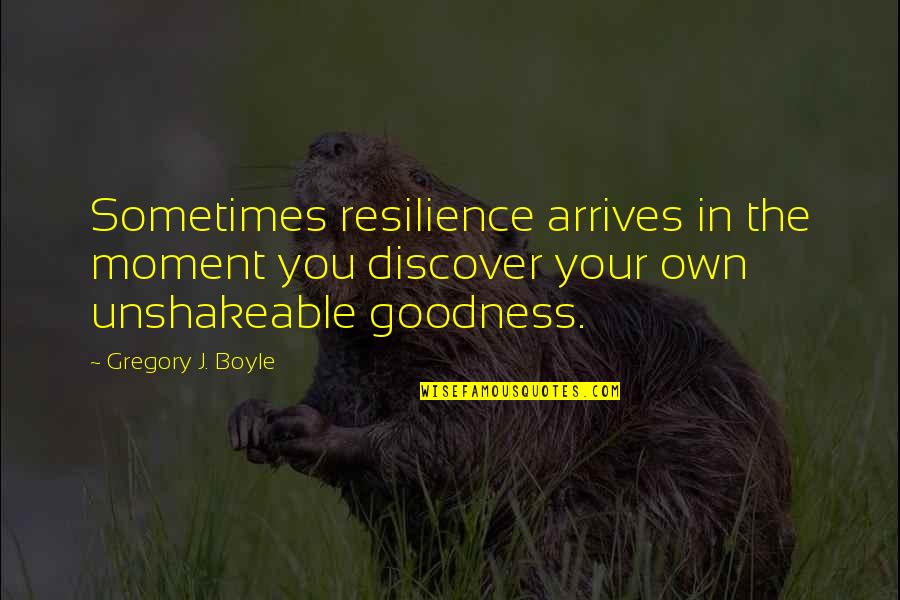 Books On Famous Quotes By Gregory J. Boyle: Sometimes resilience arrives in the moment you discover