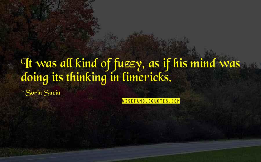 Books On Funny Quotes By Sorin Suciu: It was all kind of fuzzy, as if