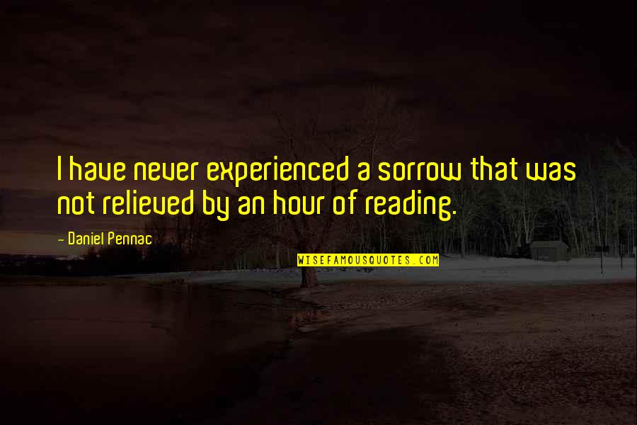 Books Reading Quotes By Daniel Pennac: I have never experienced a sorrow that was