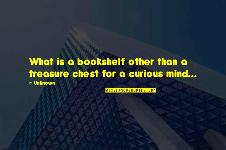 Bookshelf Quotes By Unknown: What is a bookshelf other than a treasure