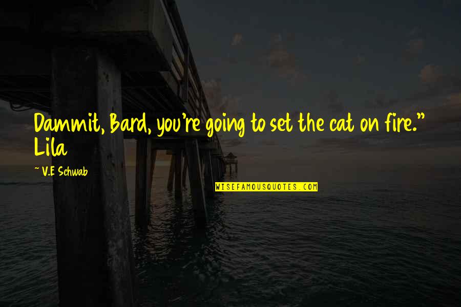 Bookshelves For Sale Quotes By V.E Schwab: Dammit, Bard, you're going to set the cat