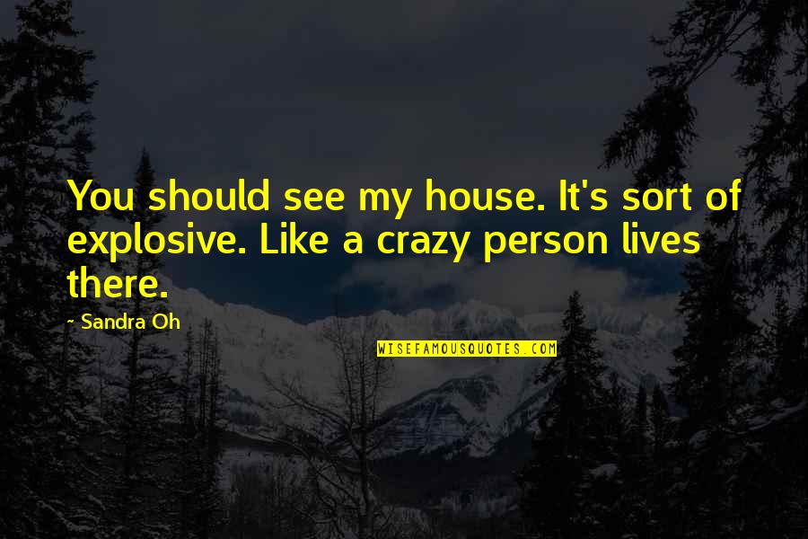 Boomer Sooner Vs Texas Quotes By Sandra Oh: You should see my house. It's sort of