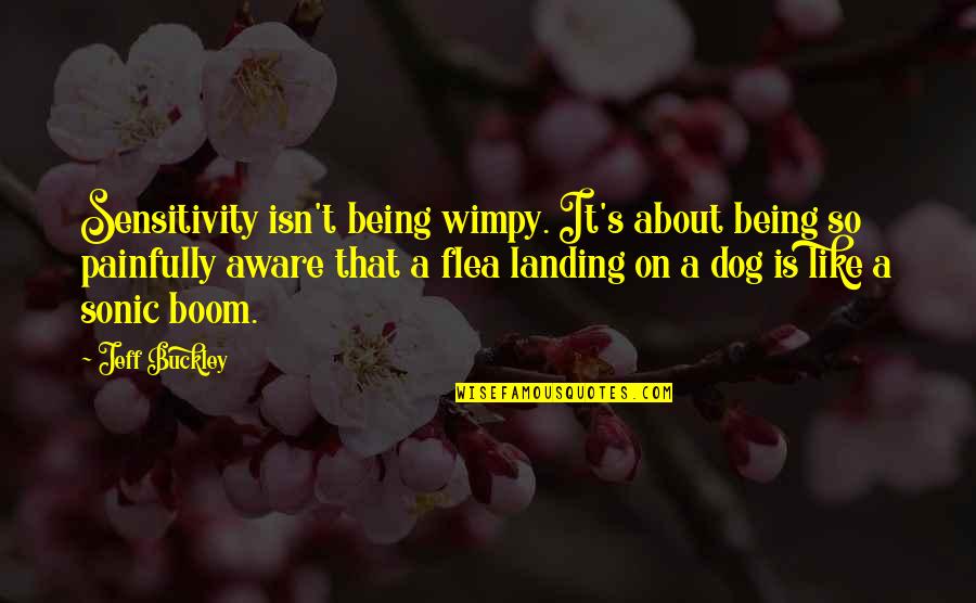 Boom's Quotes By Jeff Buckley: Sensitivity isn't being wimpy. It's about being so