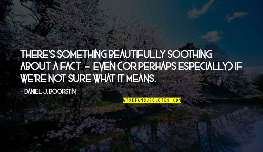Boorstin Quotes By Daniel J. Boorstin: There's something beautifully soothing about a fact -