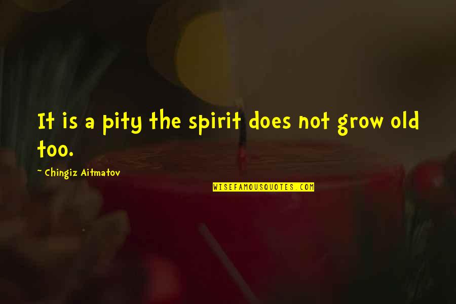 Boosler Of Stand Quotes By Chingiz Aitmatov: It is a pity the spirit does not Boosler Of Stand Quotes By Chingiz Aitmatov: It is a pity the spirit does not