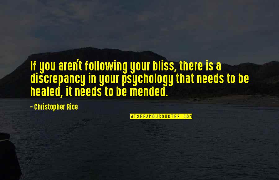 Bootleg Quotes By Christopher Rice: If you aren't following your bliss, there is