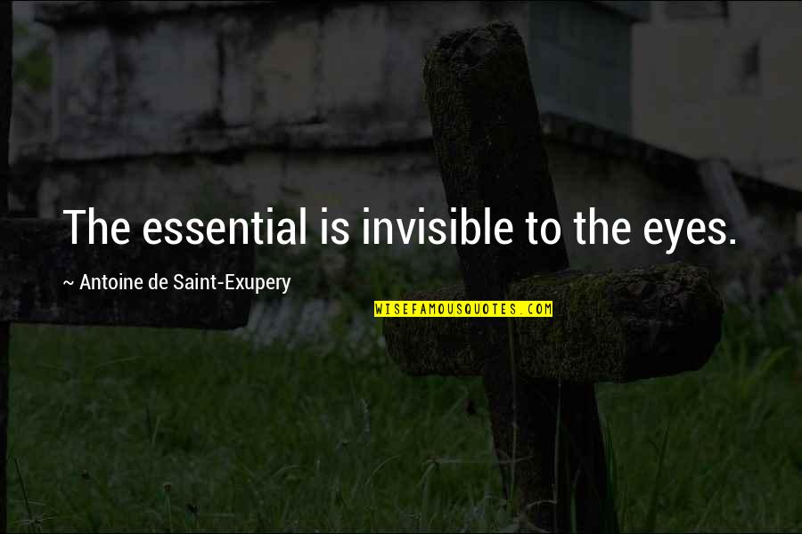 Bopha Quotes By Antoine De Saint-Exupery: The essential is invisible to the eyes.