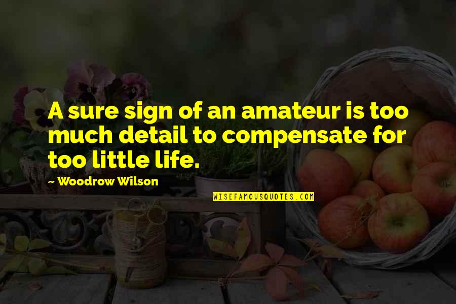 Bopped Quotes By Woodrow Wilson: A sure sign of an amateur is too