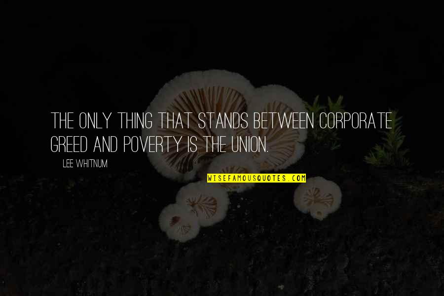 Bora Sistar Quotes By Lee Whitnum: The only thing that stands between corporate greed