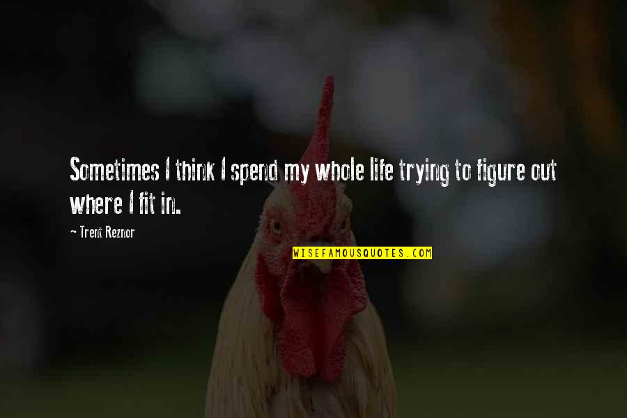 Borasol Quotes By Trent Reznor: Sometimes I think I spend my whole life