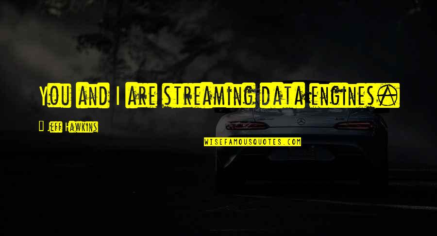Borassus Basenjis Quotes By Jeff Hawkins: You and I are streaming data engines.