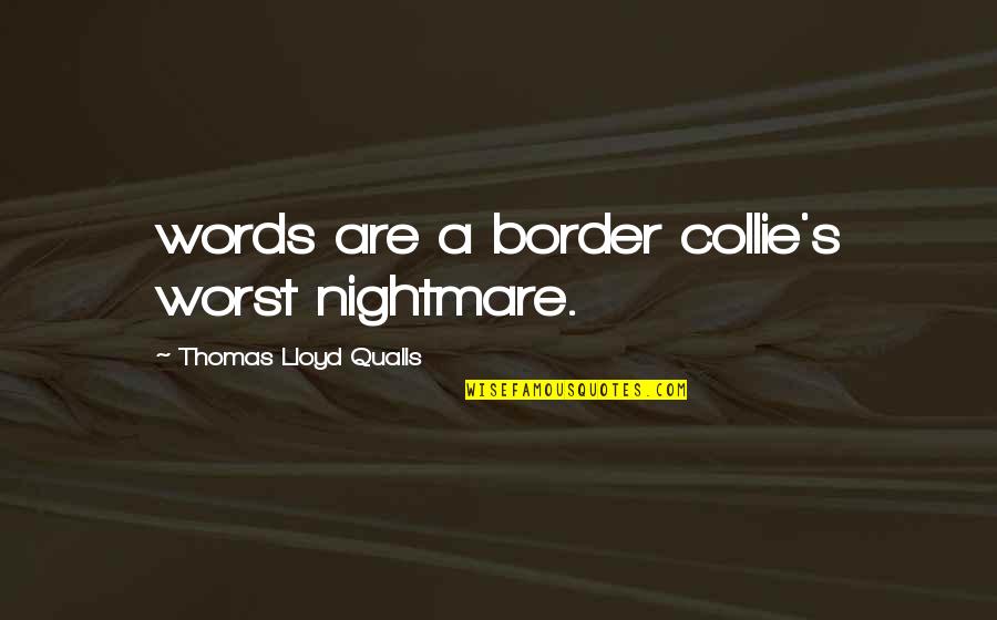 Border Collie Quotes By Thomas Lloyd Qualls: words are a border collie's worst nightmare.