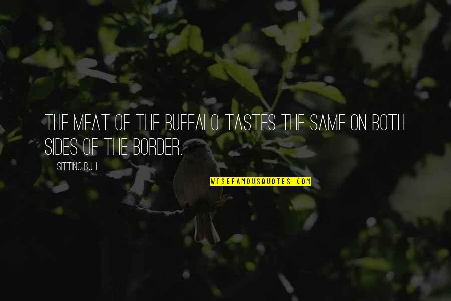 Border On Quotes By Sitting Bull: The meat of the buffalo tastes the same