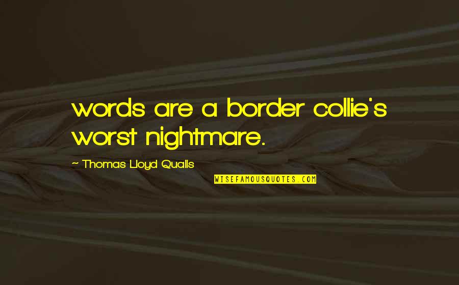 Border On Quotes By Thomas Lloyd Qualls: words are a border collie's worst nightmare. Border On Quotes By Thomas Lloyd Qualls: words are a border collie's worst nightmare.